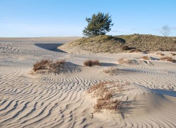 File:Windformations at the sanddunes of ...
